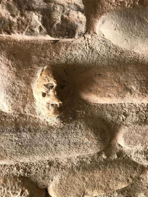 トゥレ Casa De Piedra.The Stone Houseヴィラ エクステリア 写真